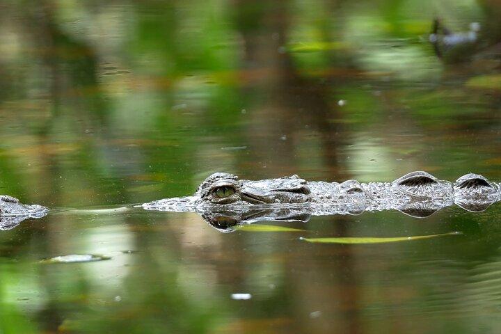 Wildlife Safari Float by Kayak in Peñas Blancas River from Arenal
