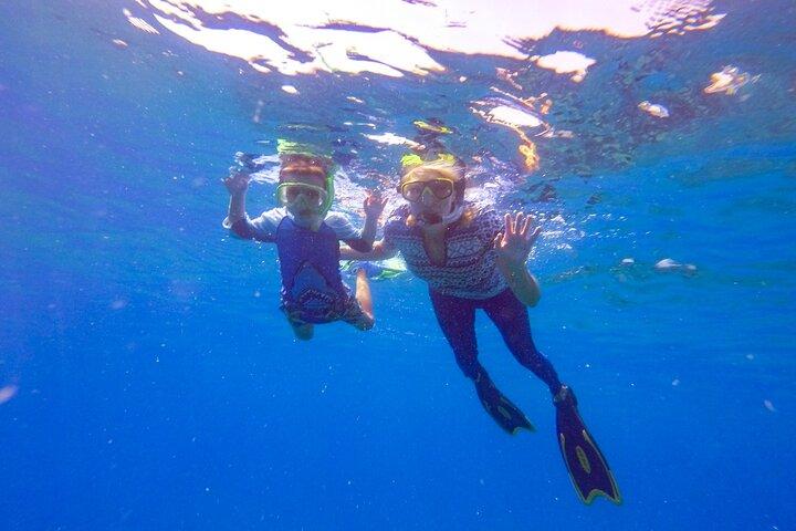 Shared 2 hours Sosúa Bay Snorkeling with Professional Guide