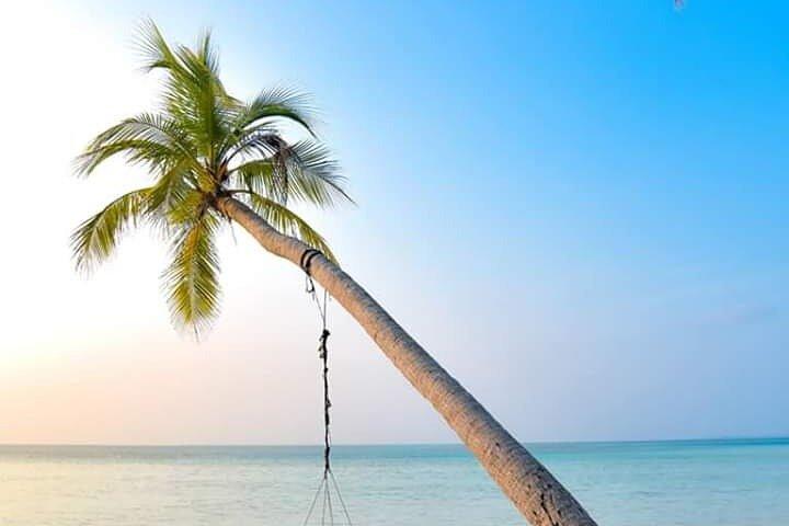 Galle Day Tour