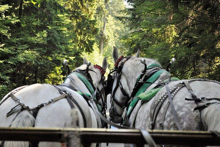 Stanley Park Horse Drawn Tour in Vancouver