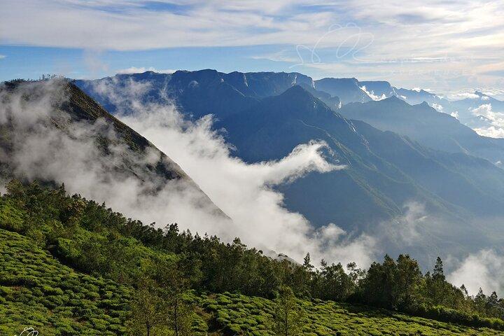 Private Day Trip to Munnar from Kochi (Cochin)