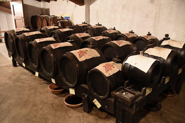 Ferrari Parmesan Cheese Balsamic Vinegar wine & food PRIVATE TOUR from FLORENCE