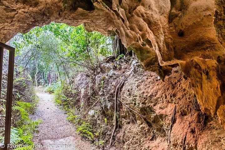 Cayman Crystal Caves Tour in Grand Cayman