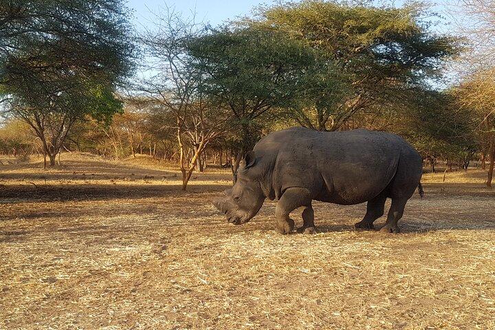 Bandia Park Safari (Minimum 2 Participants)