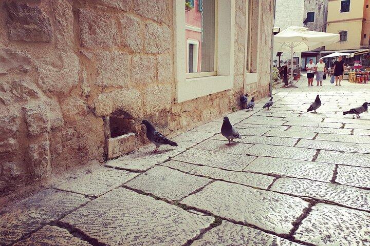 Private Sibenik Walking Historical Morning or Evening Tour