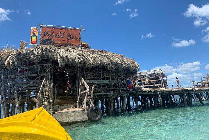 Private Transportation from Montego Bay to Appleton Estate & Pelican Bar