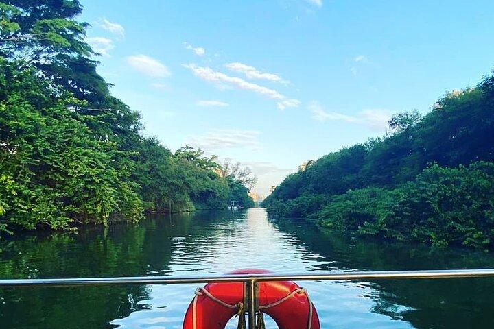 Half-Day Adventurous Boat Tour Tijuca Lagoon in Rio de Janeiro