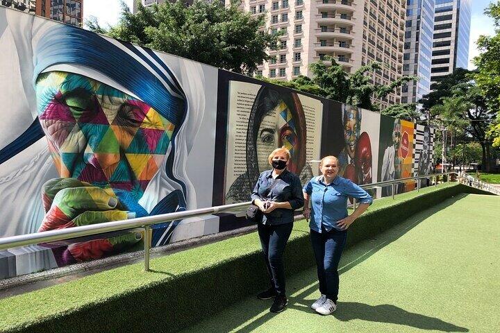 5-hour Private Street Art Tour Of São Paulo – The Coolest Urban Art Scenes