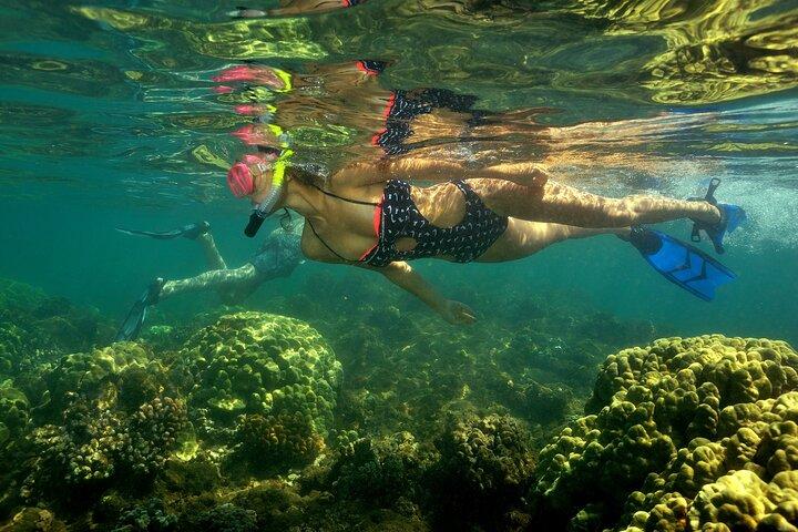 Maui South Shore Premier Kayak and Snorkel Tour from Makena Beach