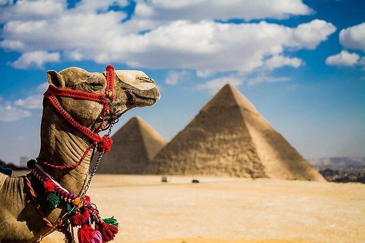 7 Days Cairo & Alexandria