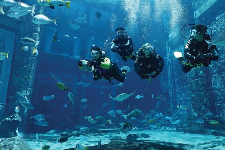 Dubai Lost Chambers Dive Discovery