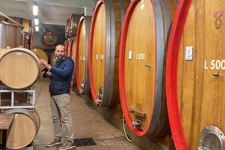 Barolo&Barbaresco Wine Experience with a Local Winemaker / Torino