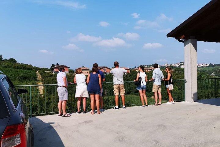 Barolo&Barbaresco Wine Experience with a Local Winemaker / Torino