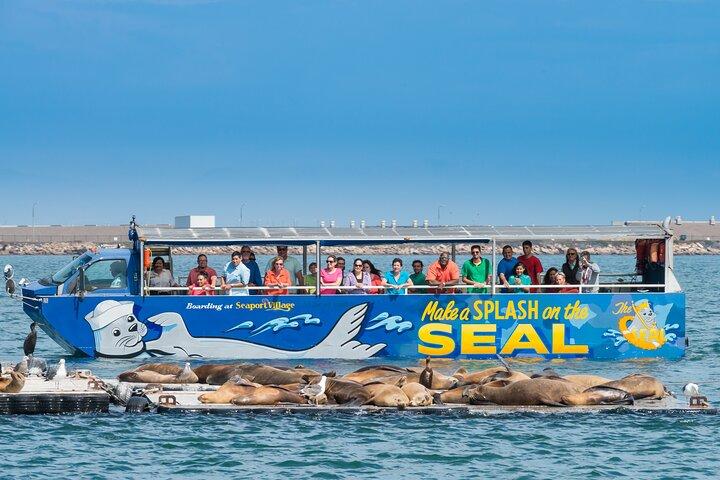 San Diego Shore Excursion: San Diego Seal Tour