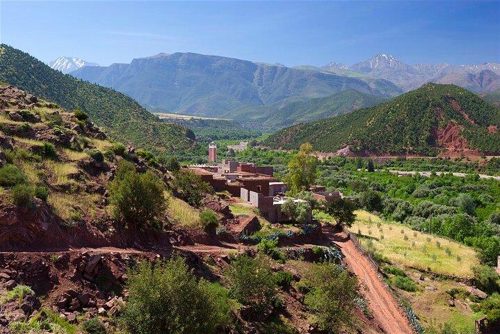 Private Day Trip to the High Atlas Mountains from Marrakech