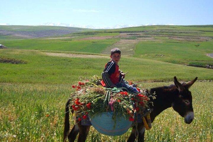 Private Day Trip to the High Atlas Mountains from Marrakech