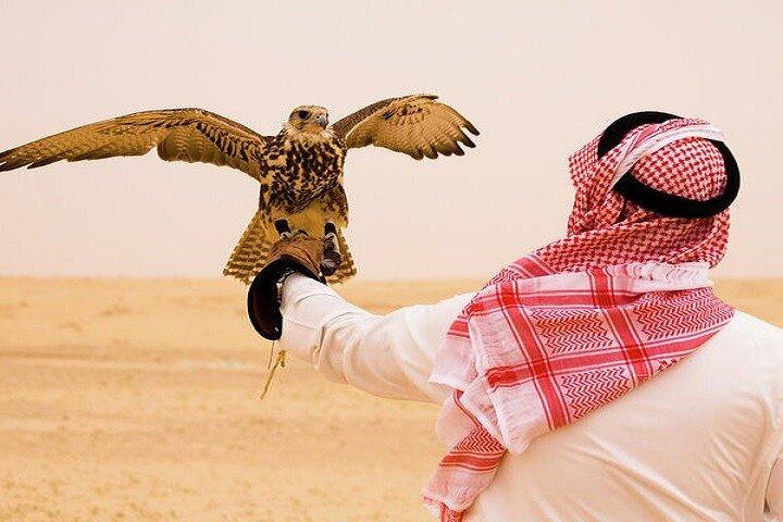 Desert Safari and Quad Bike Experience in Dubai with Dinner