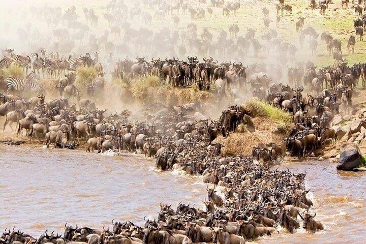 7 Days Kenya Scenic Safari