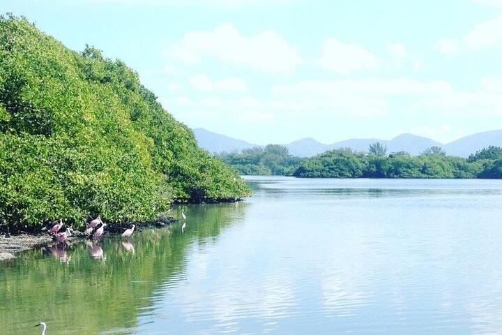 Half-Day Adventurous Boat Tour Tijuca Lagoon in Rio de Janeiro
