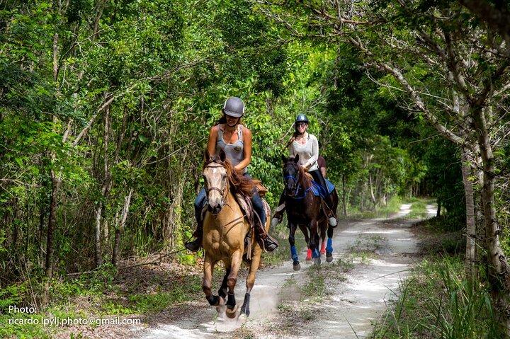 Award-winning Private Classic Horseback Ride