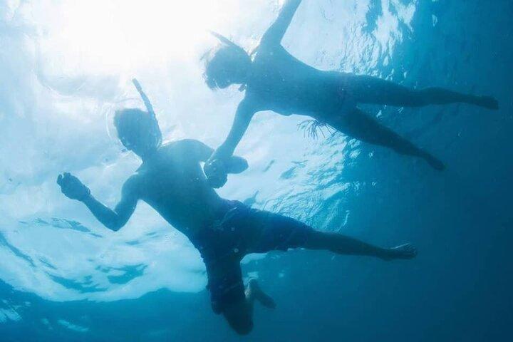 South coast and Paradise beach cruise