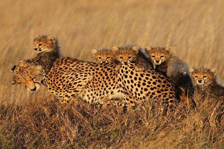 3 Days Safari to Lake Manyara, Tarangire & Ngorongoro Crater