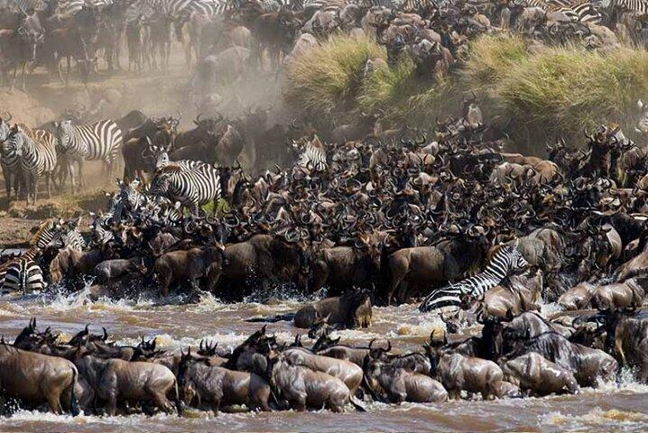 3 Days Safari to Lake Manyara, Tarangire & Ngorongoro Crater