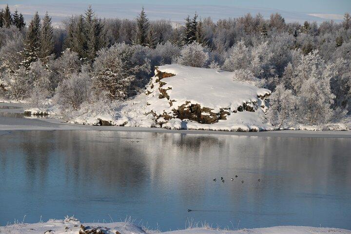 Day Trip to Lake Mývatn And The Nature Baths from Akureyri