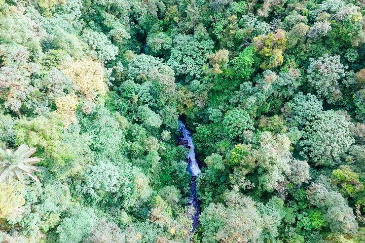 Mindo Cloud Forest Full Day Tour from Quito