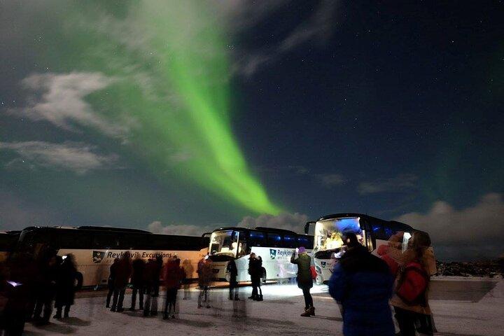 Northern Lights Guided Bus Tour from Reykjavik