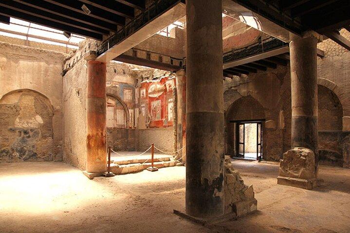 Vesuvius and Herculaneum Day Trip from Naples with Skip the Line