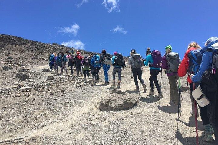 Kilimanjaro-shira Route 8 Days Itinerary