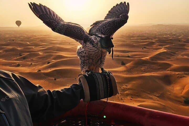 Enjoy Views Of Dubai Beautiful Desert By Hot Air Balloon From Dubai & Falcon