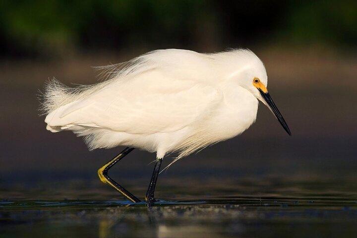 Safari Float and wild life experience in Arenal