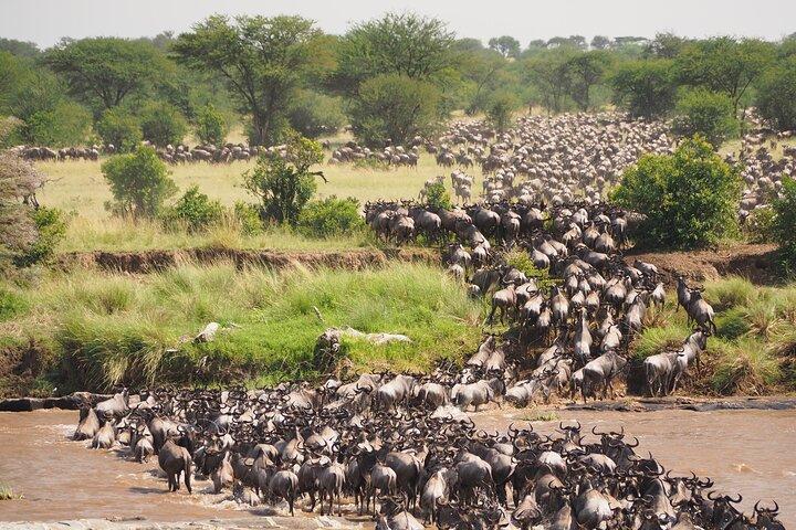 2-Day Private Tour in Masai Mara with Pick Up