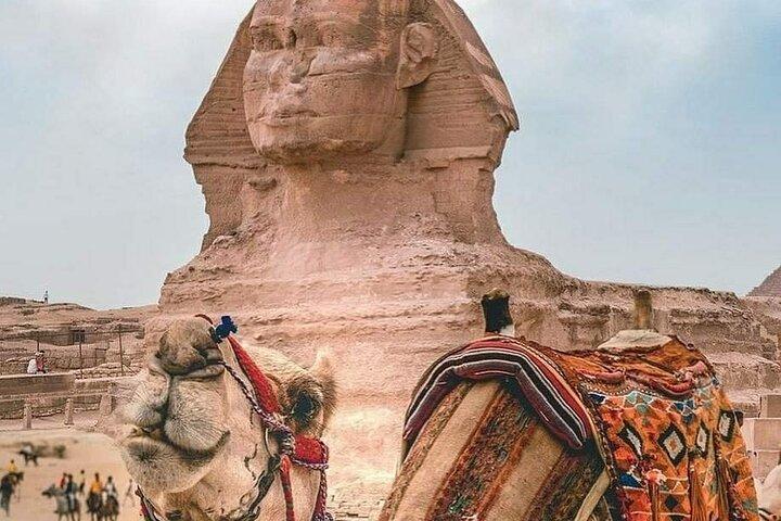 Cairo Layover Tour to Pyramids & Museum