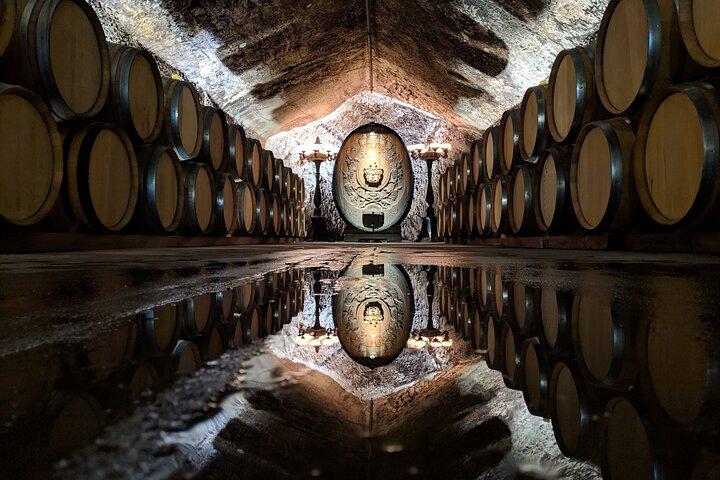 Sonoma County Wine Segway Tour