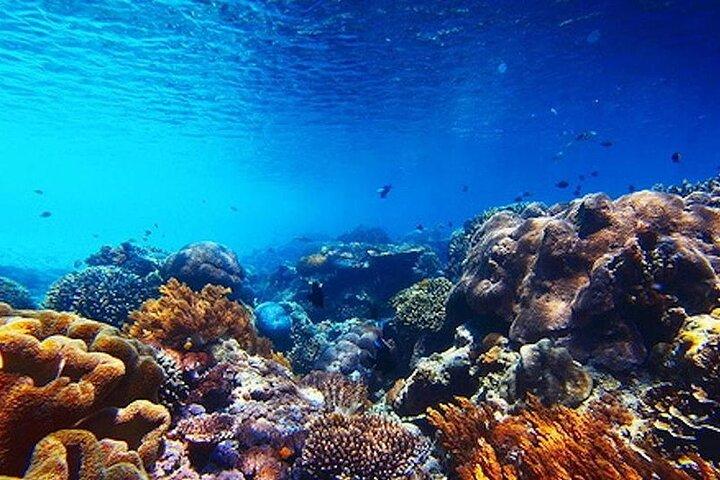Subsea Subsee
