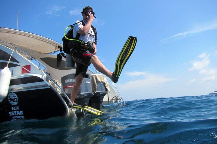 Diving Tour for Certified Divers: Sail Rock or Koh Tao