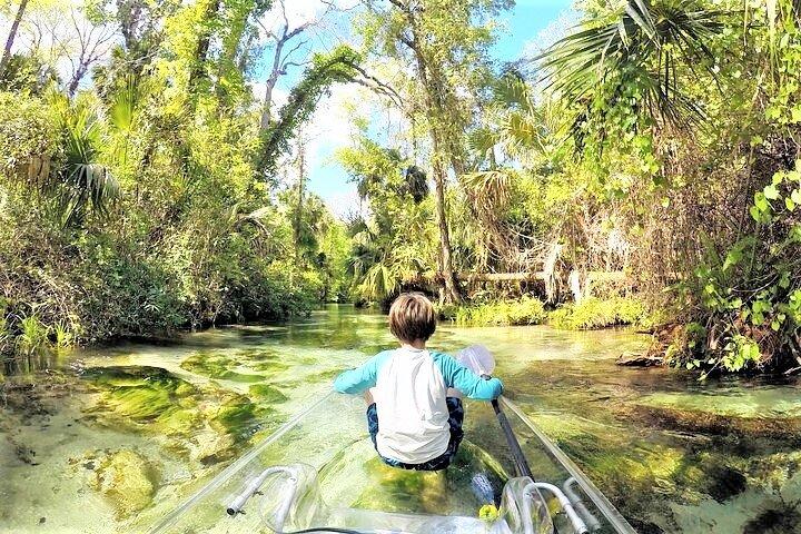 Rock Springs 2-Hour Glass Bottom Guided Kayak Eco Tour