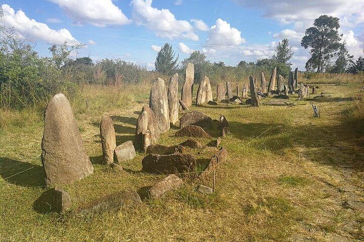 Day Tours to Tiya Stele and Cave Churches of Adadi Maryam