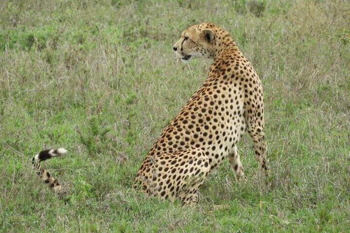 Day Trip Arusha National Park