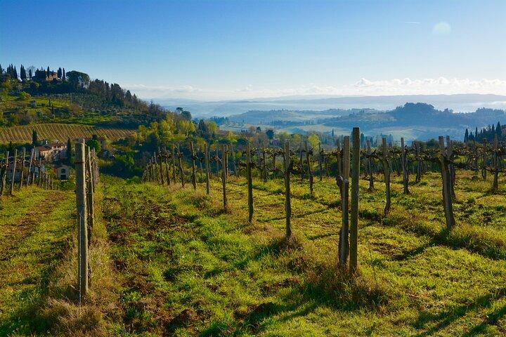 One Way Private Transfer: Florence to Rome with Visit to San Gimignano and Siena