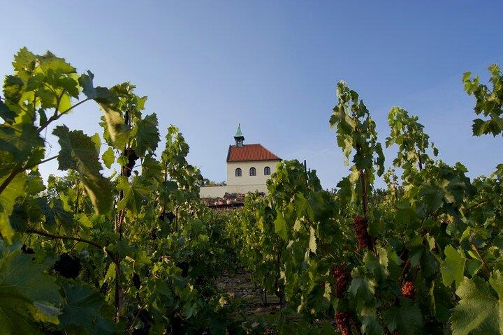 2.5-Hour Prague Wine Tasting Walking Tour