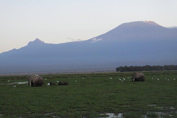 Day trip to Amboseli National Park