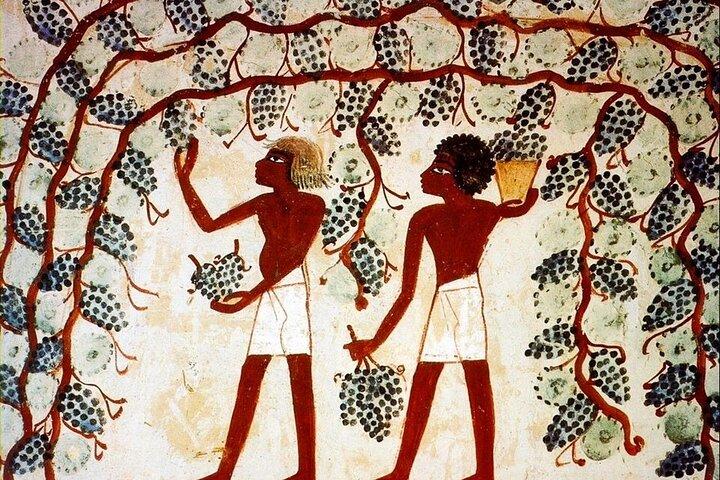 Luxor Half-Day Tour to Habu Temple, Valley of the Nobles and Village of Artisans