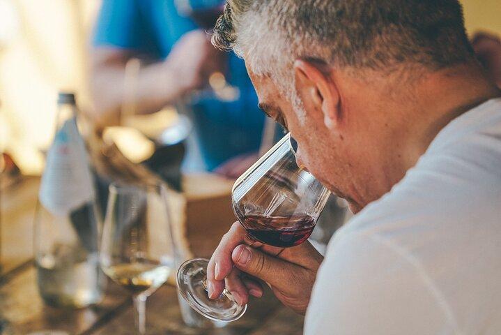 Private Langhe and Barolo Wine Tour from Milan