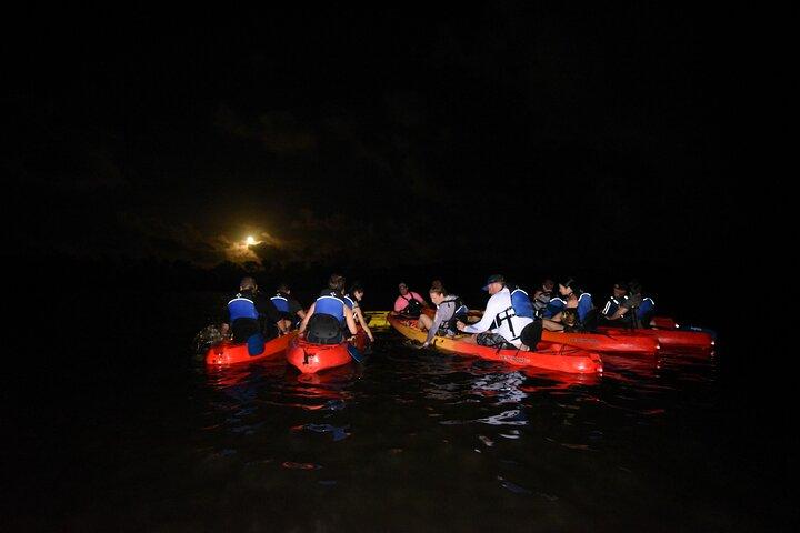 Puerto Rico Sunset Magic: Bio Bay Kayaking Tour from Fajardo