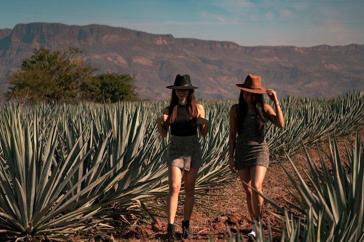 Vip Tequila Experience