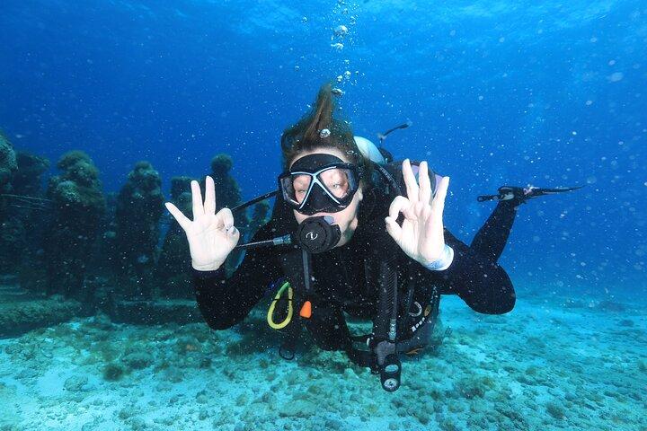 2 Tanks Dives Cancun Underwater Museum for Certified Divers
